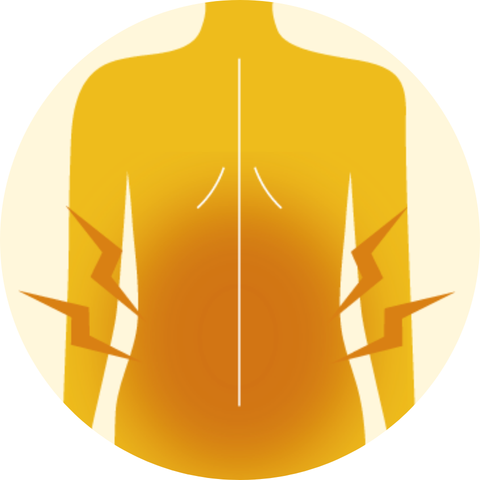 腰・背中の症状